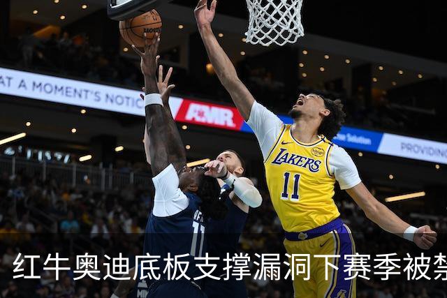 红牛奥迪底板支撑漏洞下赛季被禁